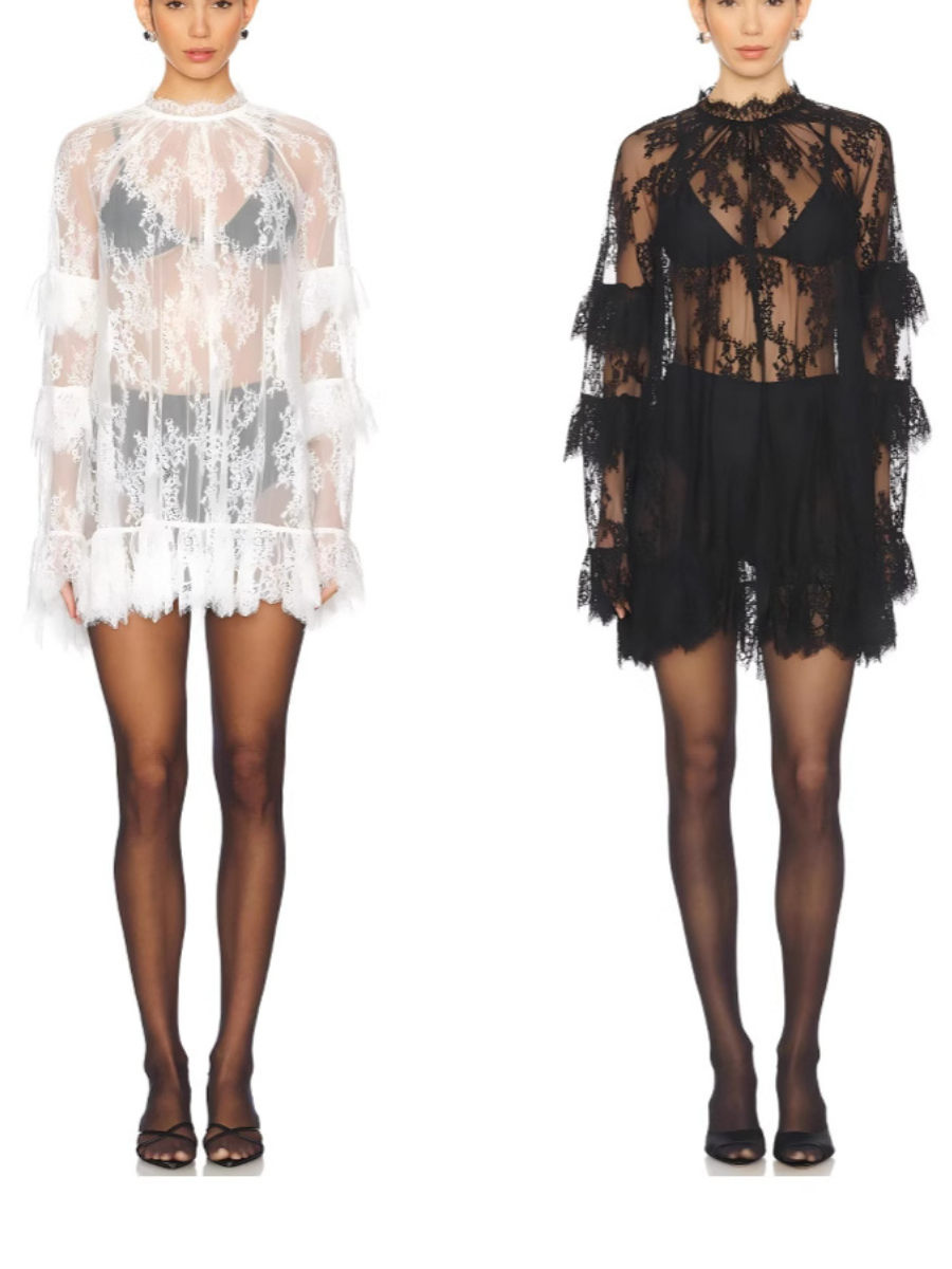 Sheer Lace Long Sleeve Mini Dress